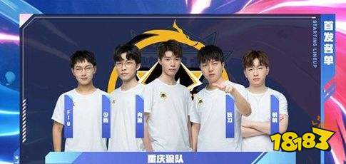 这款杯赛球