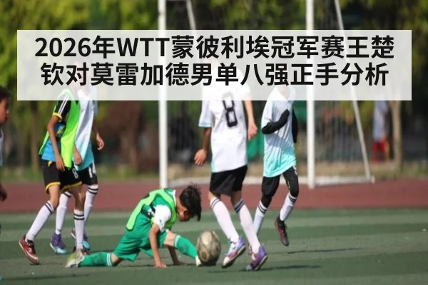 2026年WTT蒙彼利埃冠军赛王楚钦对莫雷加德男单八强正手分析