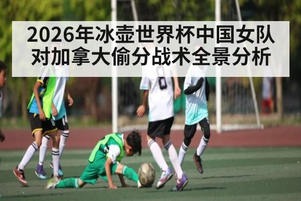 2026年冰壶世界杯中国女队对加拿大偷分战术全景分析